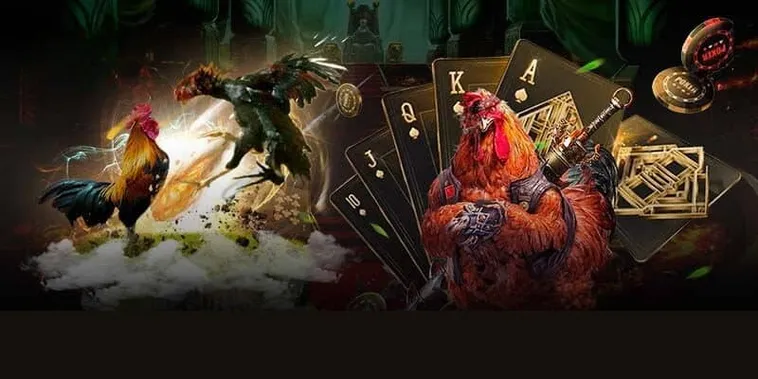 Bí Kíp Chơi Đá Gà GA28 Tại ZomClub Đảm Bảo Thắng Lớn 2025