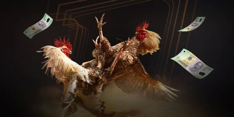 Đá Gà ZomClub Hấp Dẫn Nhất 2025 Cách Tham Gia Dễ Dàng Cho Tân Thủ